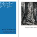 Links: Blauer Hintergrund mit dem Titel "Home Is a Foreign Tree, or a Brief History of Eucalyptus in Argentina" von L. Mertehikian. Rechts: Illustration eines großen Eukalyptus und vier Männer davor.