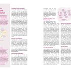 Seite mit Informationen zu Wien. Titel: "Stadt und Stadtviertel". Enthält Absätze zu Stadtgeschichte und Bezirken. Links Karte.