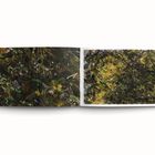 Moderne, abstrakte Kunst mit dunklen Farbtönen. Grüne, orange und weiße Akzente bilden dynamische, chaotische Muster.