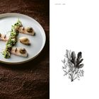 "JAPANESE SEA. Kampachi, Seafood, Sea Herbs." Ein kunstvoll angerichtetes Gericht auf einem weißen Teller.