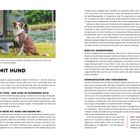 "Campen mit Hund" steht groß geschrieben. Zu sehen ist ein Hund, angeleint an einem Campingwagen, auf einer Wiese.
