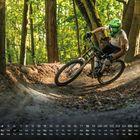 Kalender unten, Helmträger auf Mountainbike, fährt durch Waldkurve, intensives Sonnenlicht, herbstliche Blätter.