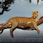 Kalenderdaten unten: Tage 1-30, April. Ein Leopard ruht entspannt auf einem Baum, umgeben von Zweigen.