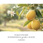 Text: "Ich sage mir immer wieder: Die Umstände können nie größer sein als Gott. Eva Maria Wenzl." Zitronen an einem Zweig.
