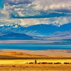 Weite Steppe mit einer Person und Herde im Vordergrund, dahinter ein blauer See und schneebedeckte Berge unter dramatischem Himmel.