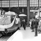 „BAHNSTEIG 9“, „GLEIS 5“ und „TEE“ sind Schilder und Logos. Ein Zug steht im Bahnhof, umgeben von Menschen.