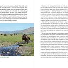 „Yaks und Pferde weiden in der Mongolei.“ Kapitel 2. Eine Wiese mit Yaks, Pferden und einem Bach, umgeben von Hügeln.