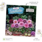 "2027 Landliebe", "Wandkalender für Naturfreunde". Blumenarrangement mit Dahlien und Früchten, harmonisch gestaltet.