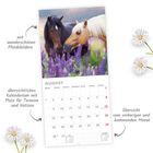 Mit wunderschönen Pferdebildern, übersichtliches Kalendarium mit Platz für Termine, Übersicht des Monats August.