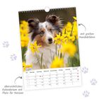 "April", "mit großen Hundebildern", "übersichtliches Kalendarium mit Platz für Notizen". Ein Hund in einem Blumenfeld.