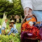 Links: Eine Familie mit Strohhüten arbeitet im Garten. Rechts: Eine Hand hält einen Korb mit bunten Blumen.