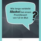 Text in einer Sprechblase: "Wie lange verbleibt Alkohol bei einem Promillewert von 1,0 im Blut?" Text: "Freitag, 1. Januar".