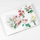 Ein Buch zeigt Blumenillustrationen mit den Texten: "Lilium Auratum", "Rosa Indica", "Narcissus Poeticus".