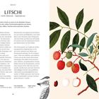 "LITSCHI, Litchi chinensis – Sapindaceae" mit Beschreibung. Rechts eine botanische Illustration eines Litschizweigs mit Früchten.