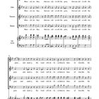 Notenblatt mit Text: „Blessed are they that considereth the poor.“ Partitur für Canto, Alto, Tenore, Basso und Orchester.