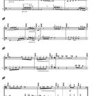 ➂ Allegro tumultuoso. Violin-Notenblätter mit verschiedenen musikalischen Anmerkungen.