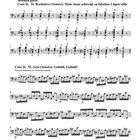 Seite 40 der Matthäus-Passion, BWV 244.2 für Viola da Gamba. Enthält Noten für zwei Stücke mit Titeln und Kommentaren.