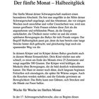 Kapitelüberschrift: "Der fünfte Monat – Halbzeitglück". Text über die Veränderungen im fünften Schwangerschaftsmonat.