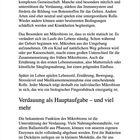 Text erklärt Mikrobiom: Bakterien im Darm unterstützen Verdauung, Immunsystem. Individuell, beeinflusst durch Lebensstil.