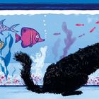 Text: "L is for learning to not eat the fish." Eine schwarze Katze betrachtet interessiert Fische in einem Aquarium.