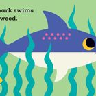 „This little shark swims through seaweed.“ Illustration mit Hai, Fisch, Quallen und Seetang auf grünem Hintergrund.