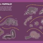 "I SEE SMALL MAMMALS!" auf lila Hintergrund. Tiere wie Kaninchen, Gürteltiere, Waschbären, Stinktiere und Eichhörnchen.