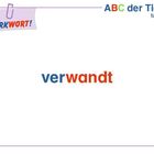 Text "MERKWORT!", "verwandt". Oben "ABC der Tiere 4 Medien". Weißer Hintergrund, schlichtes Design.