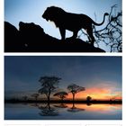 26. Woche 2027, jun/jul. Silhouette eines Löwen, Bäume am Wasser bei Sonnenuntergang. Daten: 28. Mo bis 04. So.