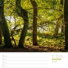 Kalenderseite: 26. Woche, Juni/Juli 2027. Darunter ein Wald mit grünem Laub.