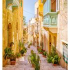 29 JULI; MO 19 DI 20 MI 21 DO 22 FR 23 SA 24 SO 25. Enge Straße mit Pflanzen und bunten Balkonen in warmem Licht.