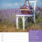 „Pass dich dem Schritt der Natur an. Ihr Geheimnis heißt Geduld.“ – Ralph Waldo Emerson. Juli, KW27/2027. Weißer Stuhl im Lavendelfeld.