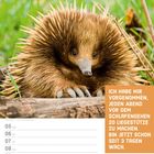 Text: "Ich habe mir vorgenommen, jeden Abend vor dem Schlafengehen 20 Liegestütze zu machen. Bin jetzt schon seit 3 Tagen wach." Ein Ameisenigel sitzt im Gras. Rechts unten sind Kalenderdaten für Juli 2027.