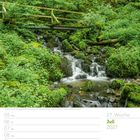 Juli 2027, Woche 27. Waldszene: Ein Bach fließt unter einer hölzernen Brücke durch üppiges Grün.