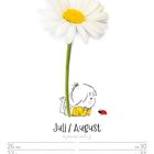 "Juli / August" Kalenderblatt für KW30/2027, Illustration: Kind beobachtet Marienkäfer unter Gänseblümchen.