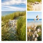 Kalenderseite für Juli 2027, Woche 28. Fotos: Strandweg durch Gräser, spielende Lämmer am Strand, Küstenpflanzen im Wind.