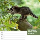 „Ich wasche meine Hände in Unfug.“ zeigt ein junges Tier auf einem Baumstamm, umgeben von grünem Laub.