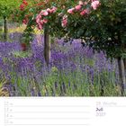 Juli 2027, 28. Woche. Kalenderseite mit rosa Rosen über lila Lavendelblüten.
