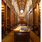 31 AUGUST, Bibliothek mit hohen Regalen und bogenförmigem Deckengewölbe, lange Tische in der Mitte.