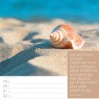 Zitat: „Das Wichtigste im Leben finden wir nicht durch intensive Suche, sondern so, wie man etwa eine Muschel am Strand findet. Im Grunde findet es uns.“ - Jochen Mariss. Kalenderblatt für Juli 2027 mit einem Bild einer Muschel im Sand am Meer.
