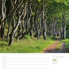 Juli 2027, 29. Woche. Buchewald im Quellental bei Glücksburg. Ein Pfad schlängelt sich durch dichte, grüne Bäume.