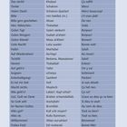 Ein Sprachführer zeigt deutsche Wörter und deren Übersetzungen auf Marokkanisch-Arabisch und Französisch.