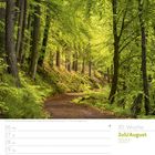 30. Woche, Juli/August 2027, 26. Mo - 01. So. Waldweg, umgeben von hohen Bäumen und grünem Laub.
