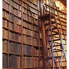 Text: "33 AUGUST MO 16 DI 17 MI 18 DO 19 FR 20 SA 21 SO 22". 
Ein prunkvoller Bibliothekssaal mit hohen Bücherregalen und einer Holzleiter.