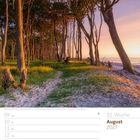 32. Woche, August 2027. Küstenwald am Strand mit schrägen, hohen Kiefern bei Sonnenuntergang.