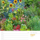 32. Woche, August 2027. Garten mit Sonnenblumen, Ringelblumen und Dahlien. Farbenfrohes Blumenbeet mit blauem Schuppen.