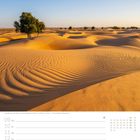 Kalendertage, August, Sanddünen in Oman. Ein Baum in goldener Wüstenszenerie; klare, wellenartige Sandstrukturen.