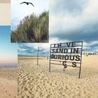 Vor einem Sandstrand steht ein Schild mit den Worten "HAVE SAND IN CURIOUS PLACES". Dünen und ein fliegender Vogel.