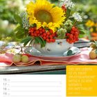 "Ziel des Lebens ist es, nicht ein erfolgreicher Mensch zu sein, sondern ein wertvoller." - Albert Einstein. Kalendereintrag, August 2027, zeigt Sonnenblume und Beeren in Tasse.