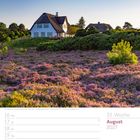 Heideblüte in Braderup auf der Insel Sylt. Kalenderseite mit einem Haus und blühender Heide im Vordergrund, August 2027.