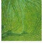 "16 Mo, 17 Di, 18 Mi, 19 Do, 20 Fr, 21 Sa, 22 So, 33. Woche 2027, AUGUST." Luftbild von grünen Terrassenfeldern.